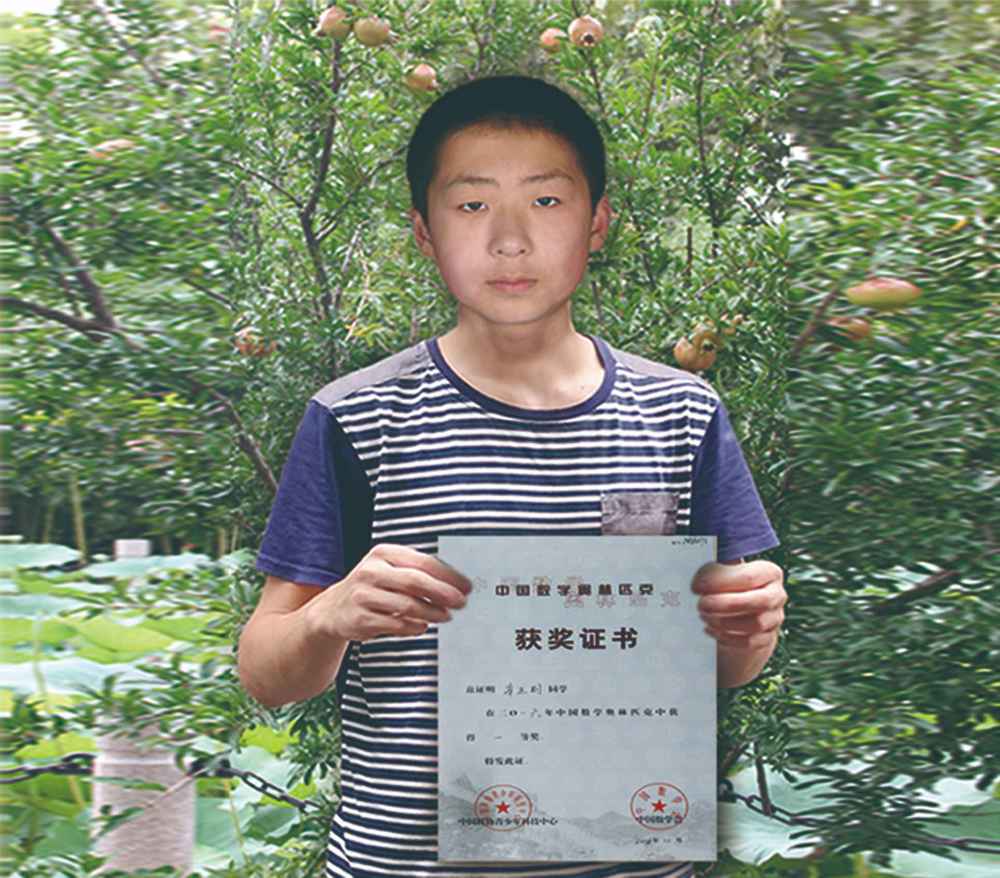 2016年第32届全国数学奥赛决赛金牌  辛正则