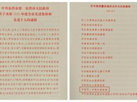 喜报！我校特色课程部荣获“全市高质量发展担当作为先进集体”