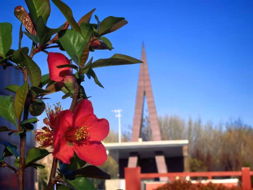 25级22班宫向冉 春探