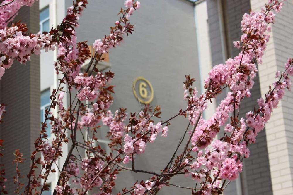 25级22班甄梓萌 六序更始