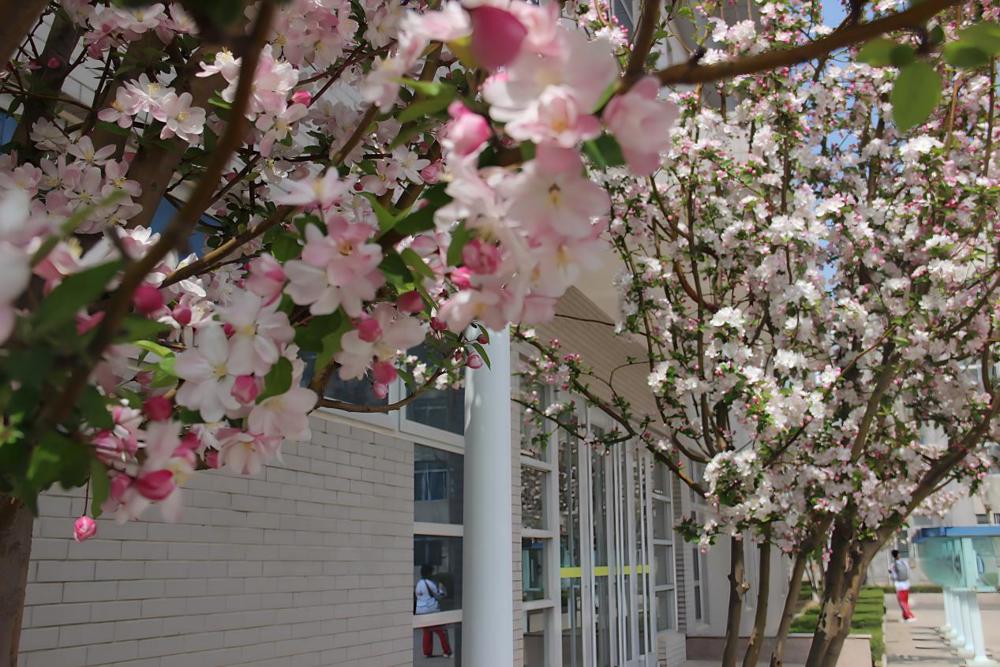 25级22班赵籽淇  前程似锦