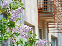 春映校园&nbsp;镜遇美好——我校举行2026年春季校园学生摄影比赛