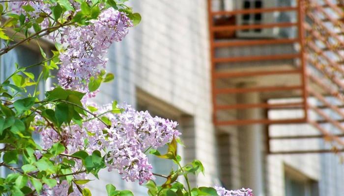 春映校园&nbsp;镜遇美好——我校举行2026年春季校园学生摄影比赛