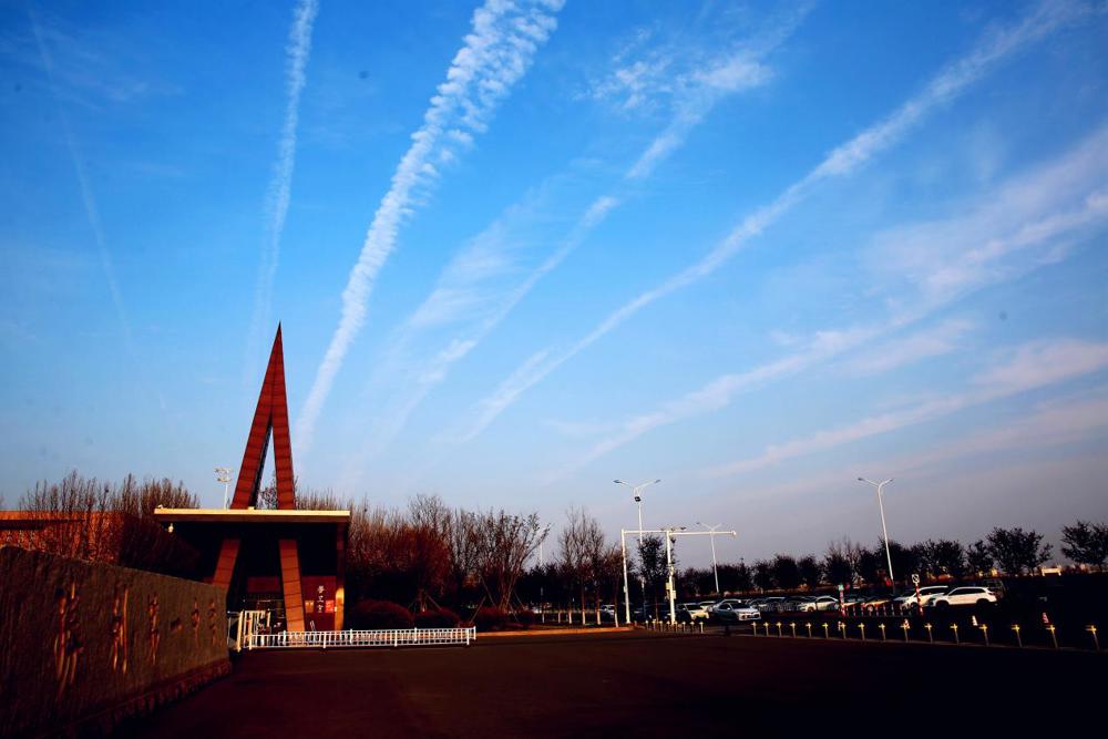 2024级29班姚泊旭-春启少年凌云志